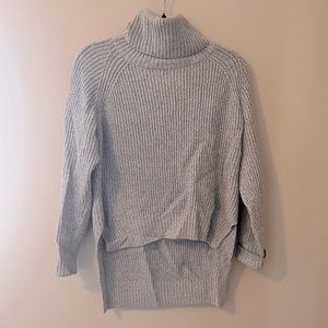 Italian Wool Aritzia Wilfred Turtleneck